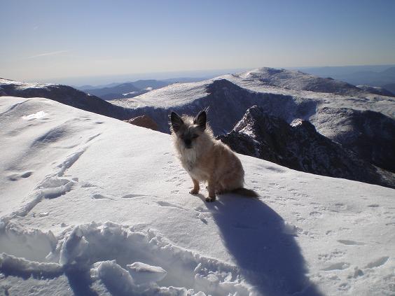 Top of Bierstadt May 2012