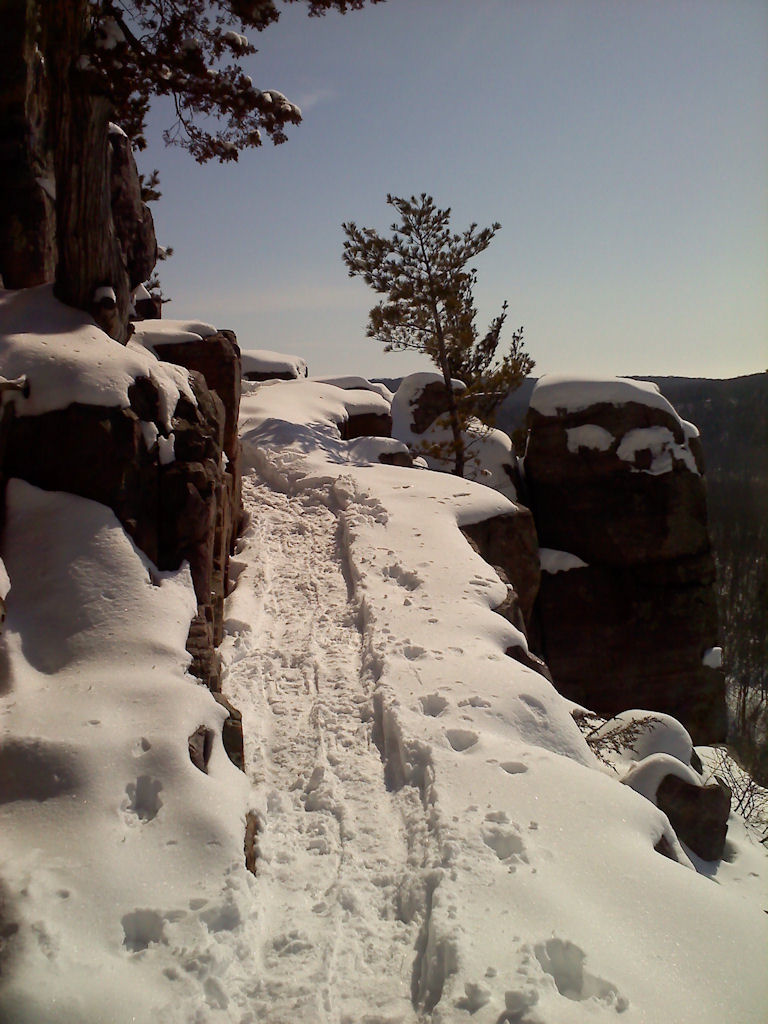 Bluff Trail - Devil's Lake SP - WI