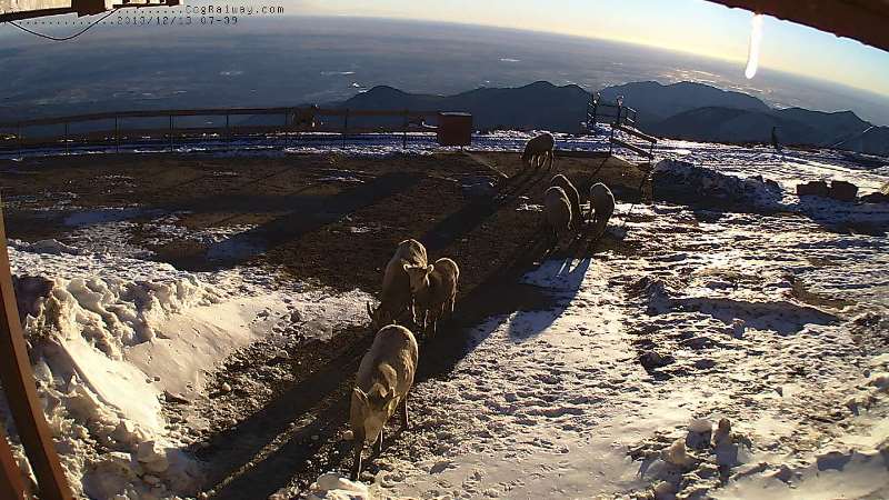 Pikes Peak Summit House webcam