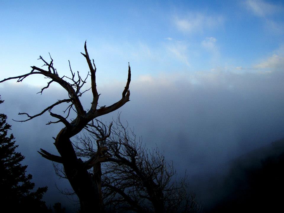 A shot I took from Mt. Shavano, a few years ago...