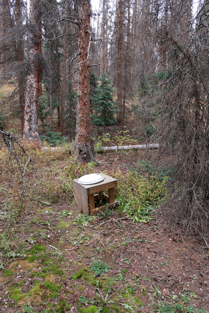 Throne of Stewart.jpg