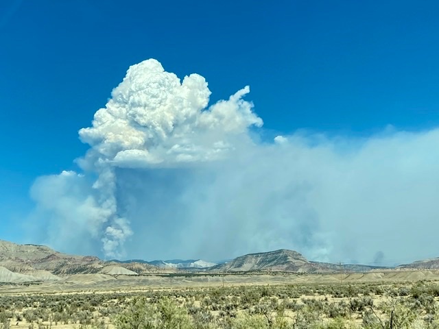 Pine Gulch fire