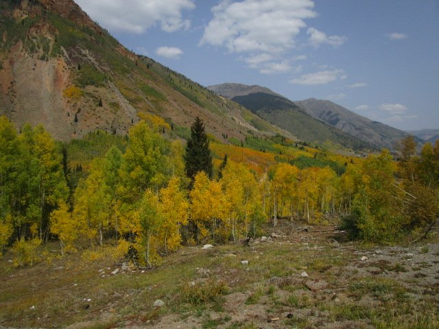 Silverton 1