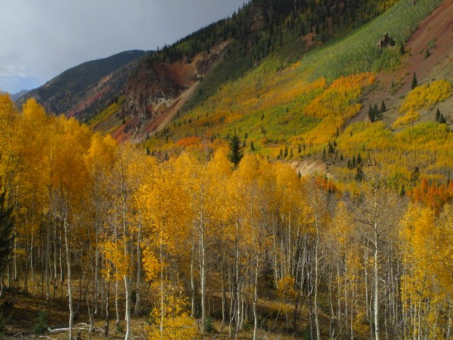 Silverton 9/21/20