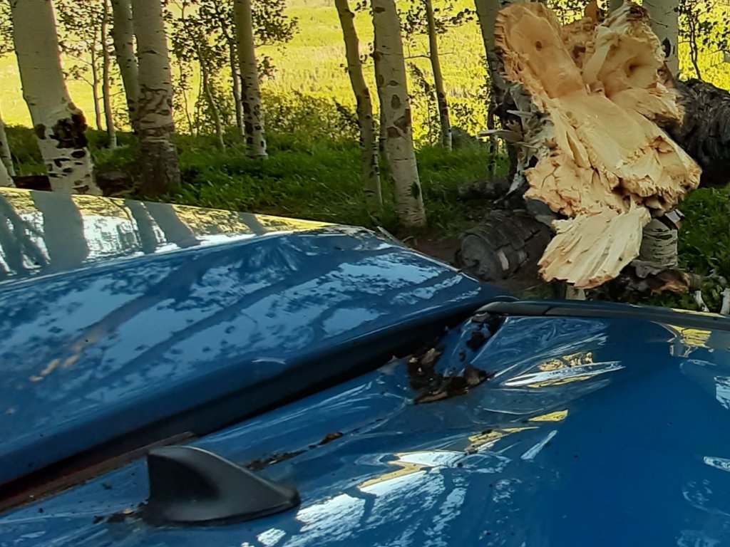 If a tree falls on your car and nobody's around, does it make a sound?