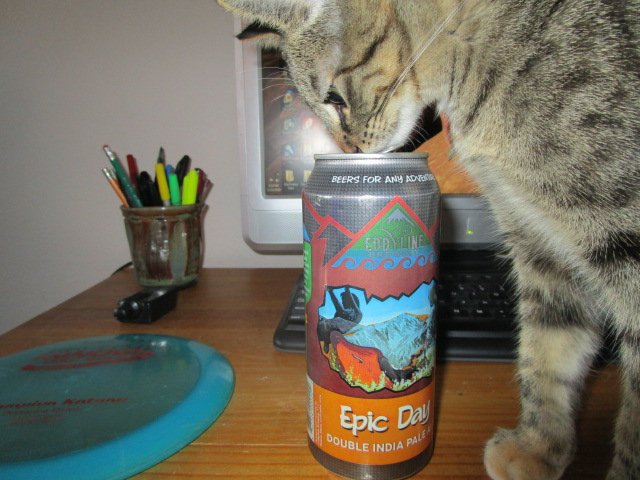 4 out of 5 cats prefer a strong IPA