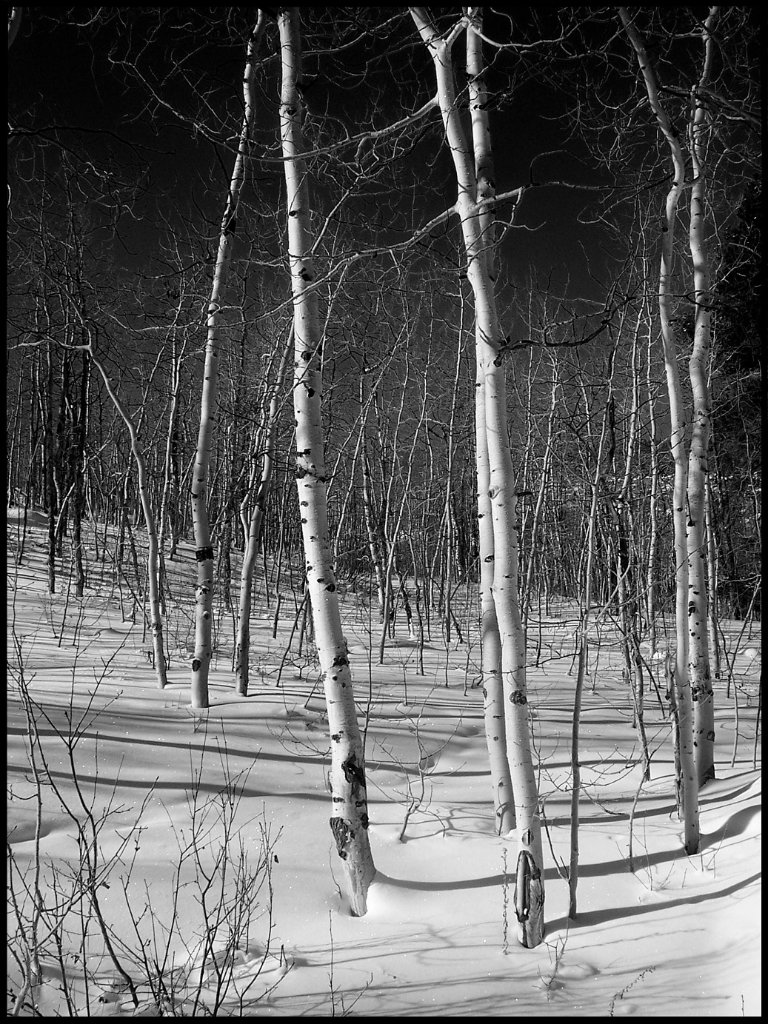 Aspens- Tigiwon Road.jpg