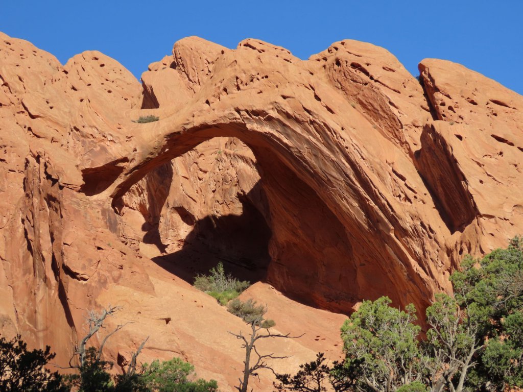 Muley Twist Cyn Arches.JPG