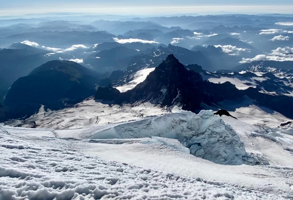 On Mt. Rainier