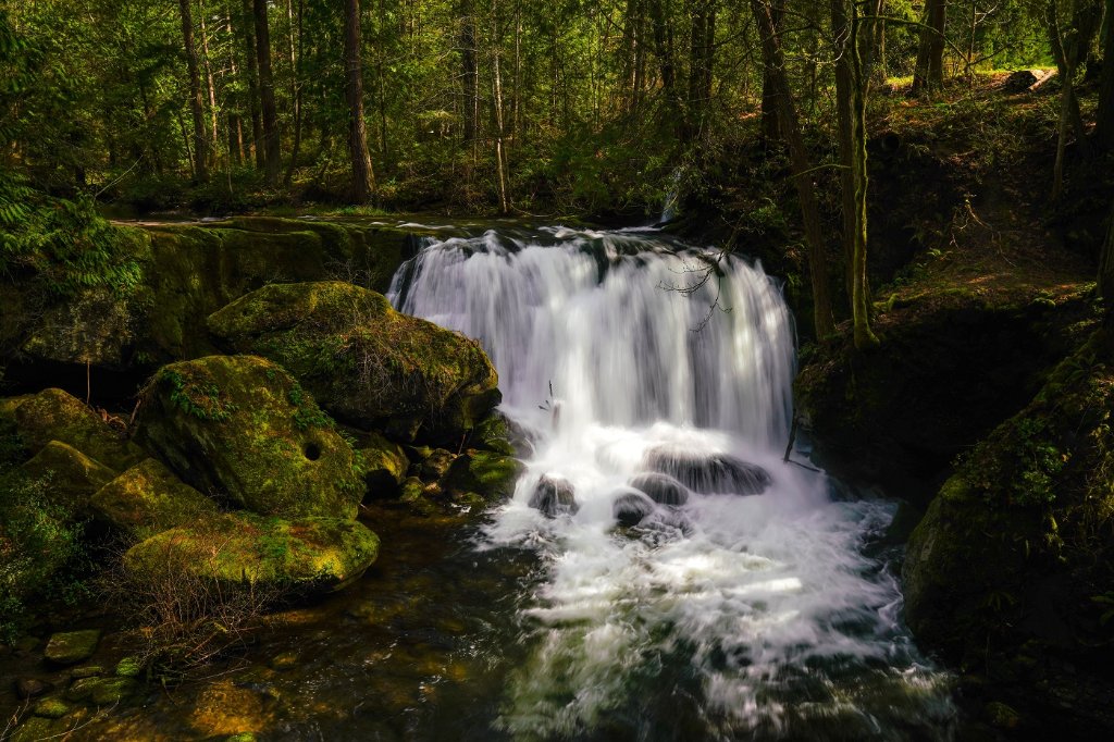 Whatcom Falls BD.jpg