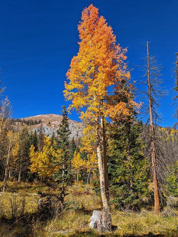 East Side of Stoney Pass