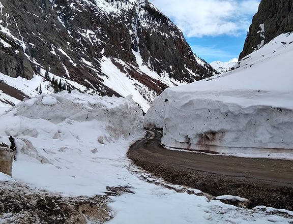 AlpineLoop2019.jpg