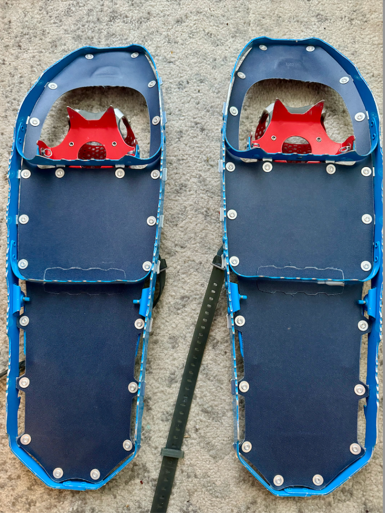snowshoes-2.png
