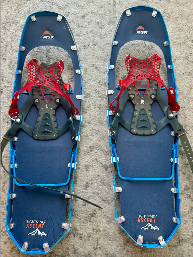 snowshoes-1.png
