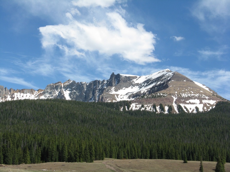 Photo #33 18551_54