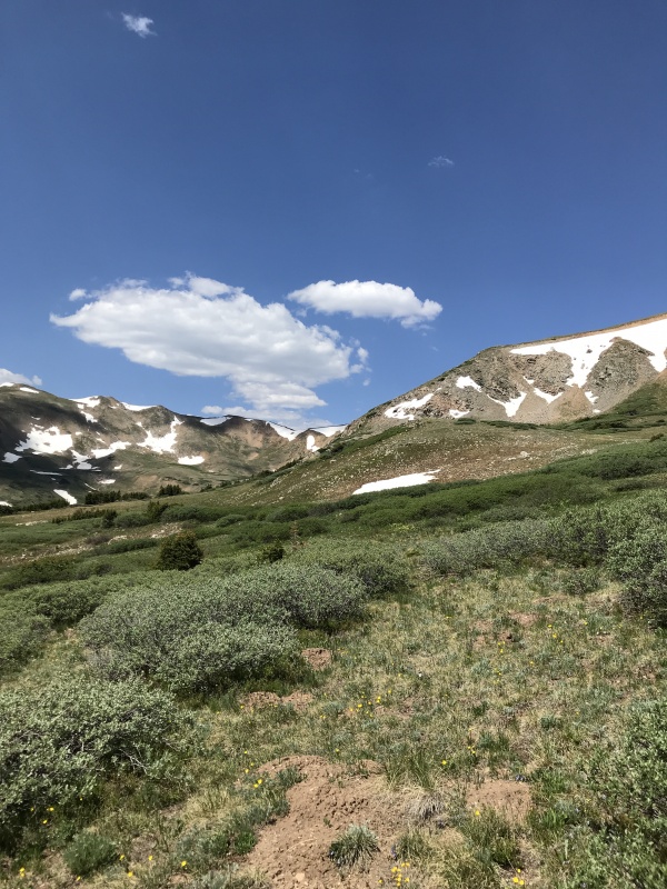 Photo #18 18685_18