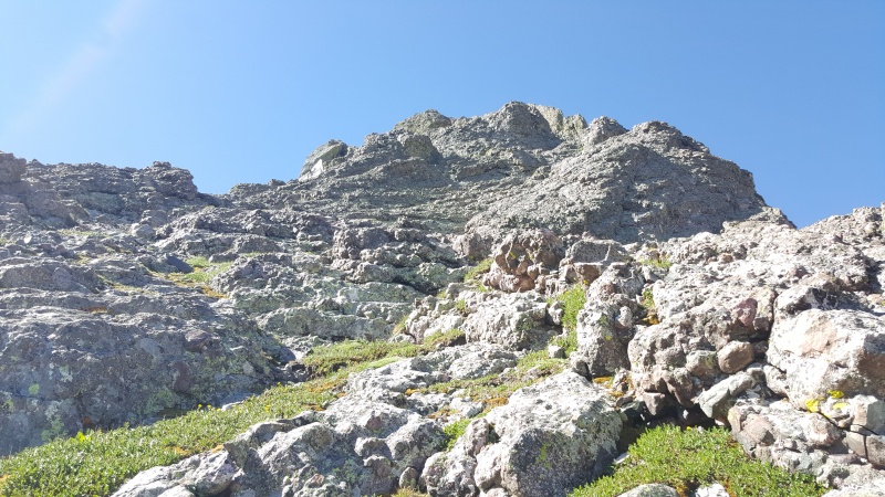 Photo #7 18717_07