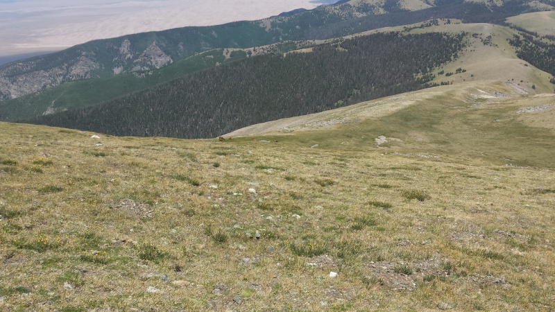Photo #26 18727_26