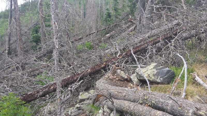 Photo #37 18727_37