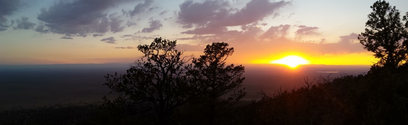 Photo #41 18727_41