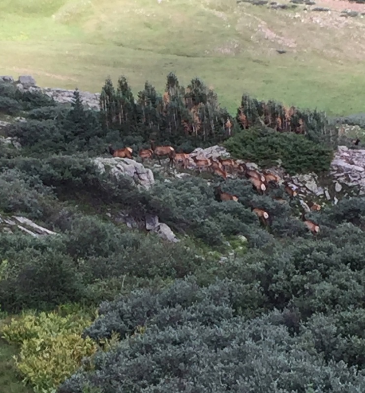 Photo #4 18985_07