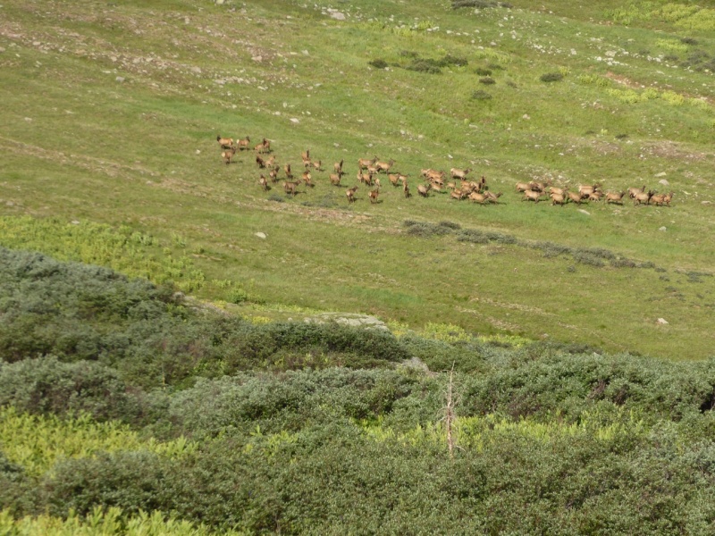 Photo #6 18985_09