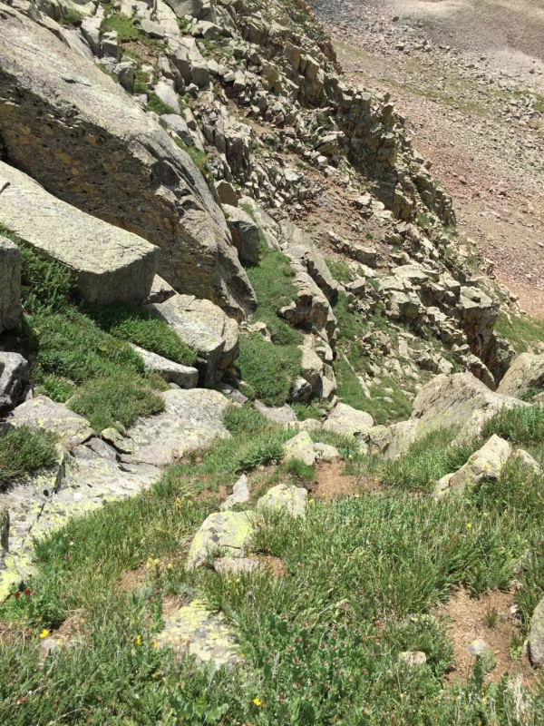 Photo #10 18985_13