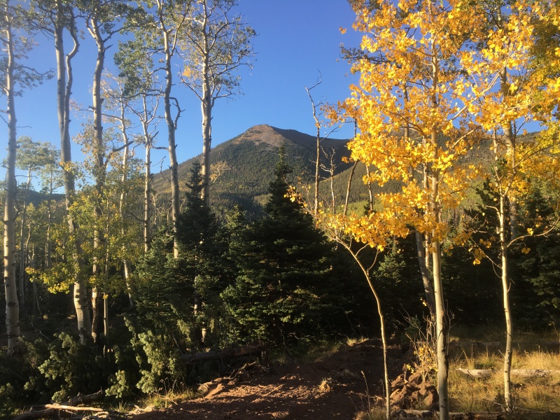 Photo #1 19065_01
