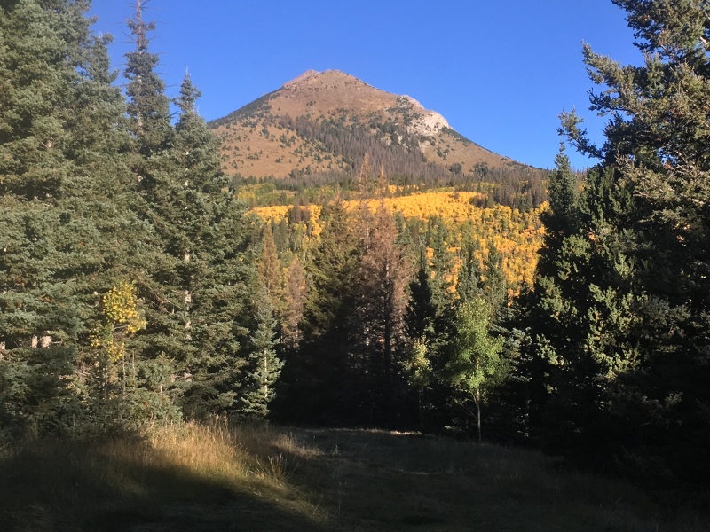 Photo #2 19065_02