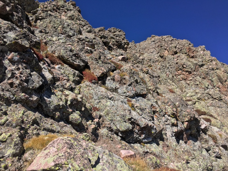Photo #11 19065_11