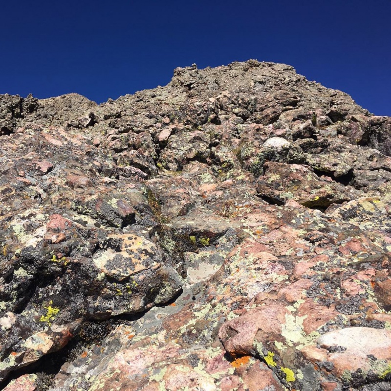 Photo #14 19065_14