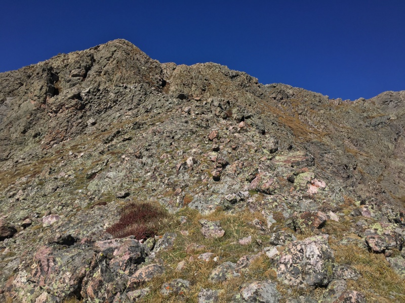 Photo #15 19065_15