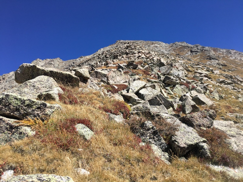 Photo #29 19065_29