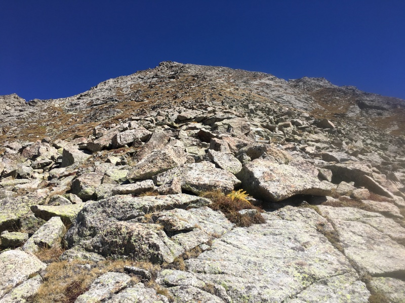 Photo #31 19065_31