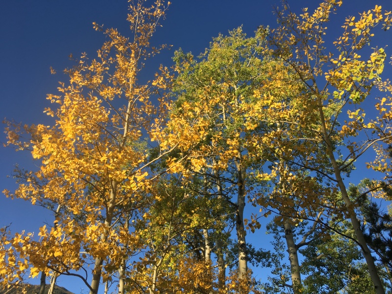 Photo #38 19065_38