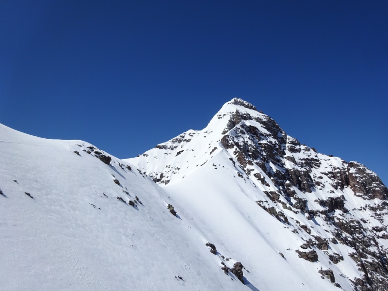 Photo #1 19414_01