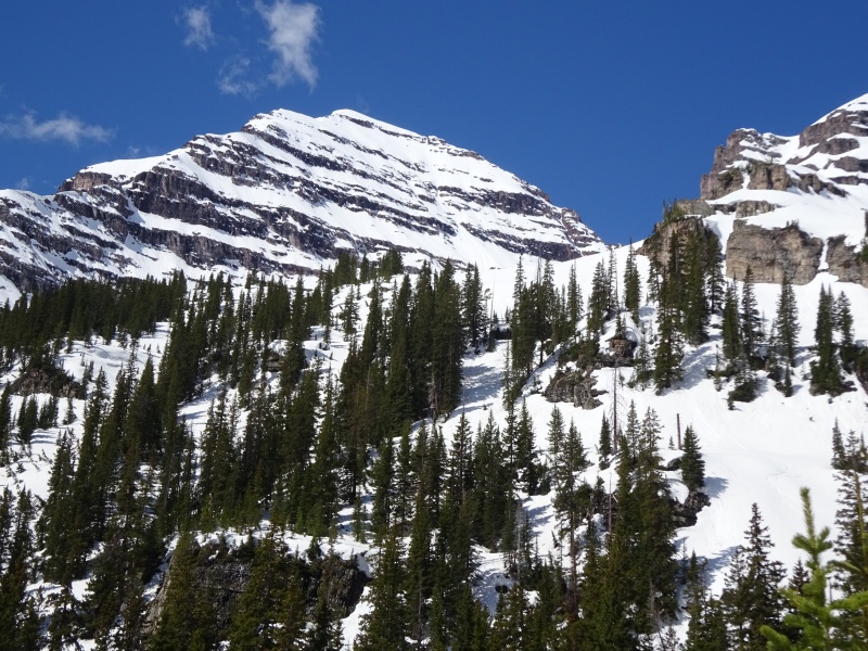 Photo #40 19414_40
