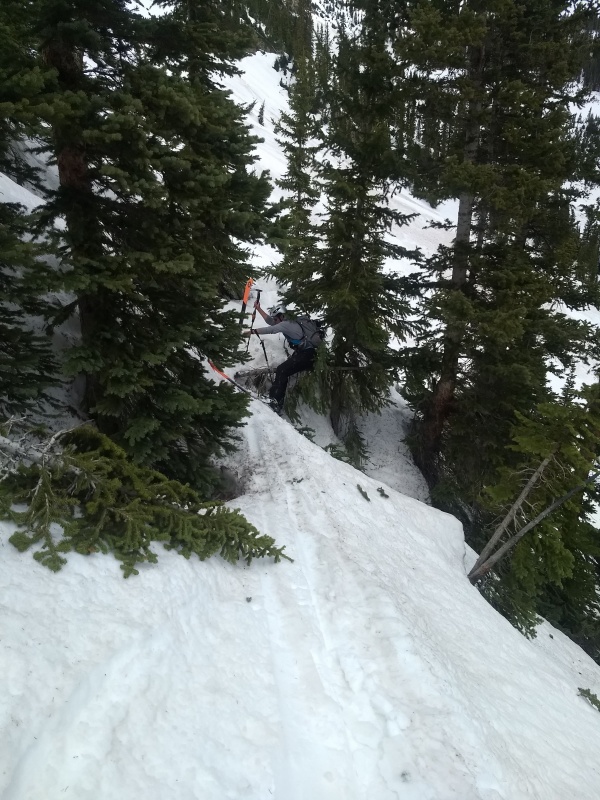 Photo #48 19414_54