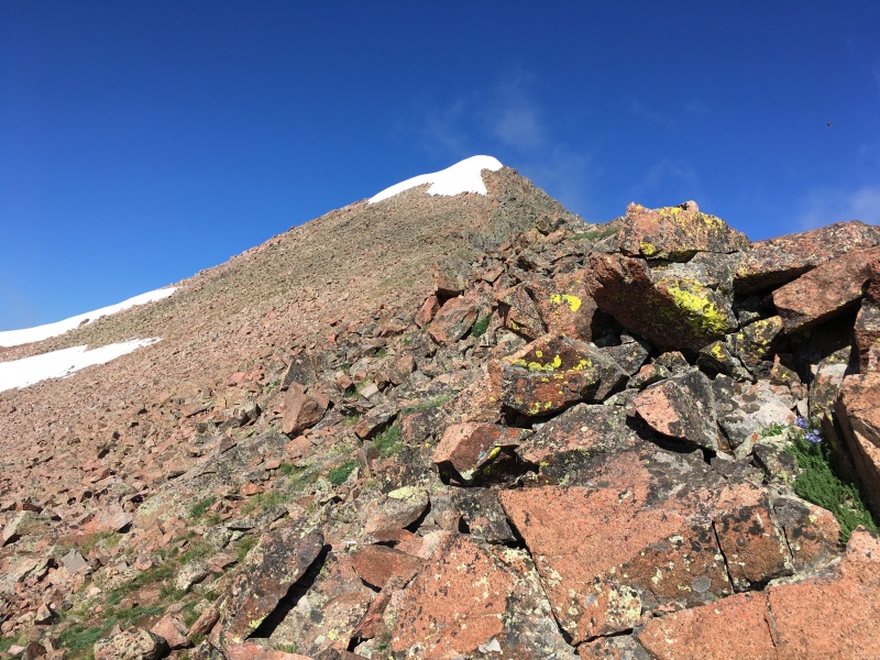 Photo #6 19696_06