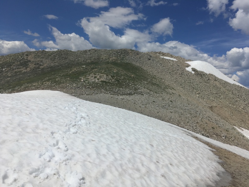 Photo #16 19696_16