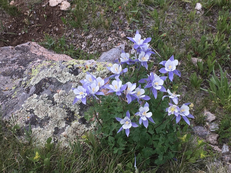 Photo #46 19696_46