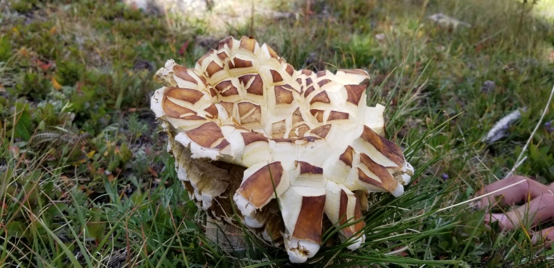Photo #15 19813_15