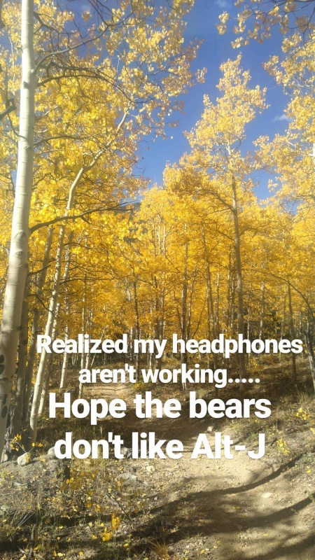 Photo #21 19884_21