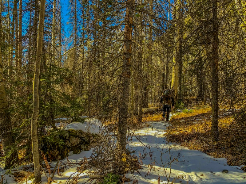 Photo #31 19962_31