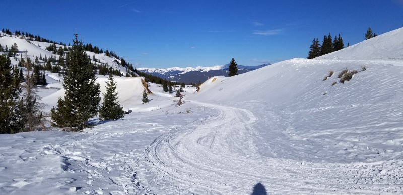 Photo #7 20053_07