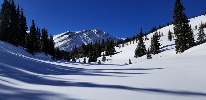 Photo #27 20053_27