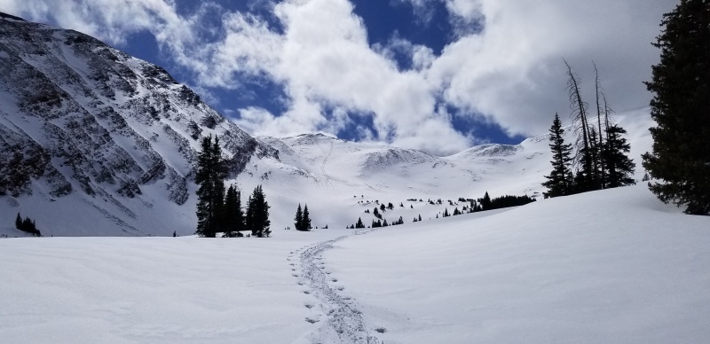 Photo #41 20053_41