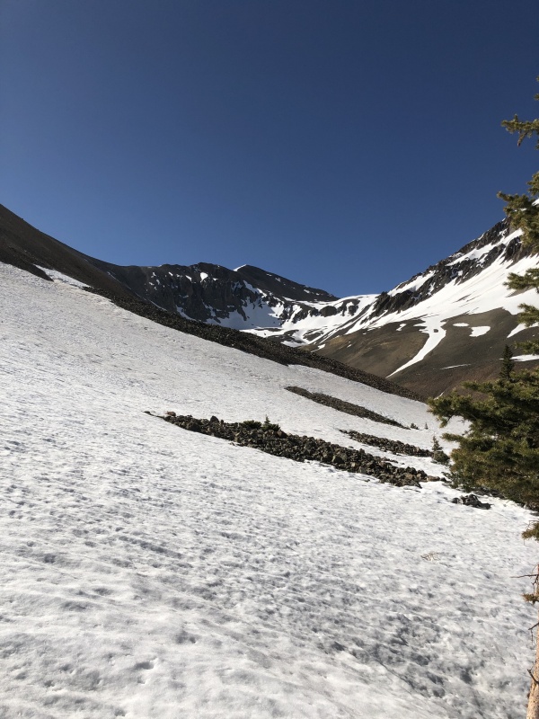Photo #6 20122_06