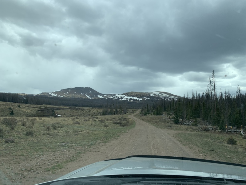 Photo #12 20167_12