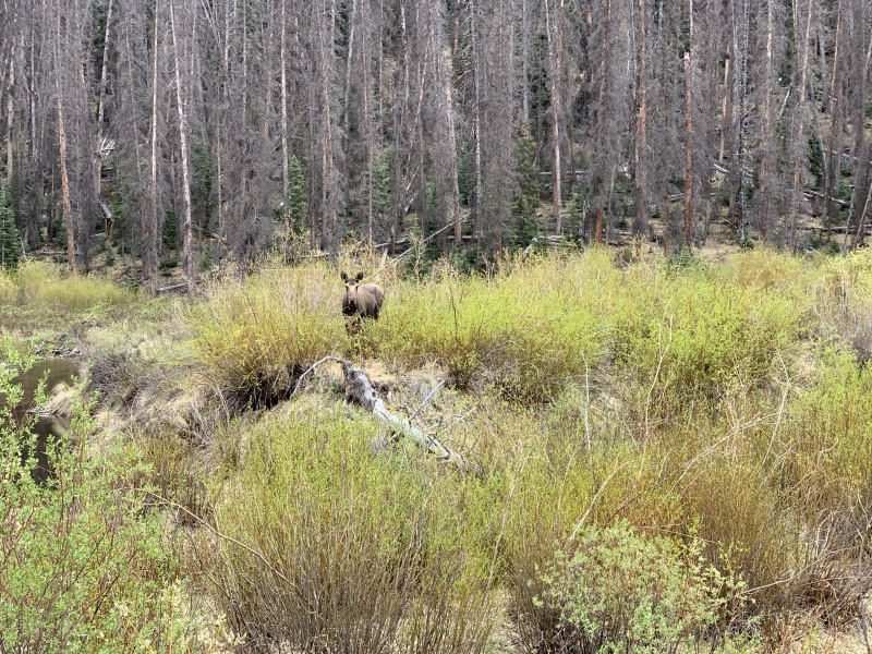 Photo #27 20167_27
